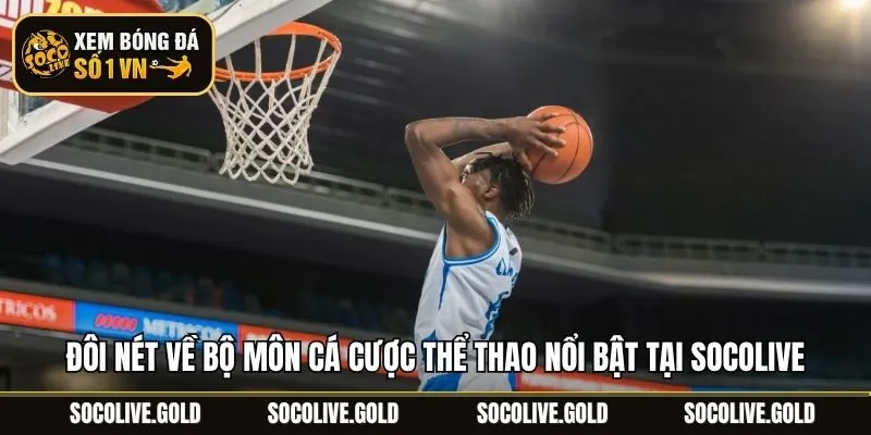 Đôi nét về bộ môn cá cược thể thao nổi bật tại Socolive