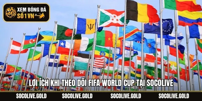 Lợi ích khi theo dõi FIFA World Cup tại Socolive