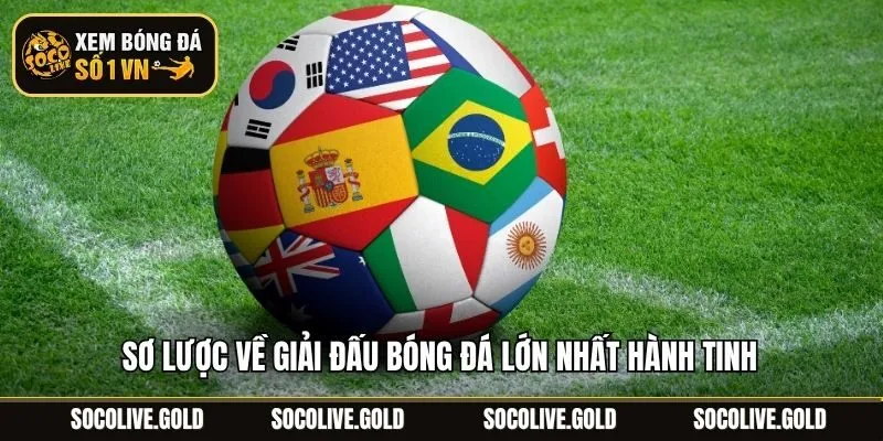 Sơ lược về giải đấu bóng đá lớn nhất hành tinh