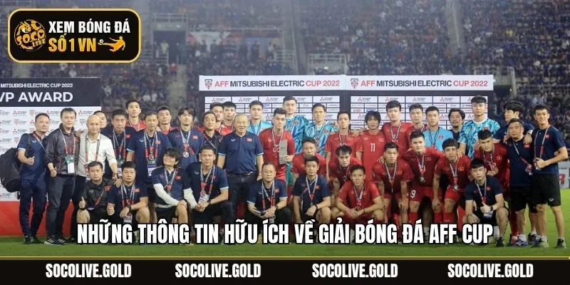 Những thông tin hữu ích về giải bóng đá AFF Cup