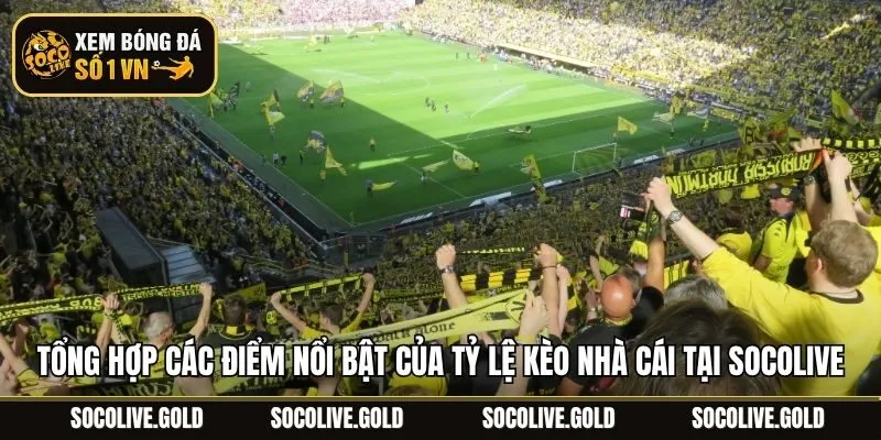Tổng hợp các điểm nổi bật của tỷ lệ kèo nhà cái tại Socolive